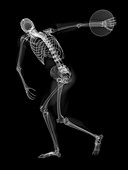 Skeleton throwing discus,artwork