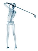 Skeleton playing golf,artwork