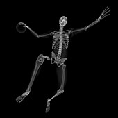 Skeleton playing handball,artwork