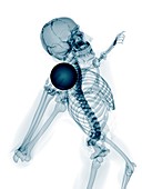 Skeleton throwing shot put,artwork