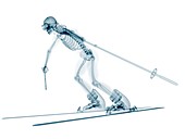 Skeleton skiing,artwork