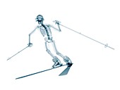 Skeleton skiing,artwork