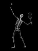 Skeleton playing tennis,artwork