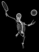 Skeleton playing tennis,artwork