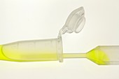 Pipette and eppendorf tube