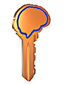 Key with brain shape,artwork
