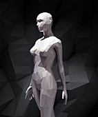Stylized 3D woman ,artwork
