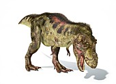 Tyrannosaurus rex dinosaur,artwork