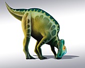 Corythosaurus dinosaur,artwork