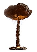 Mushroom cloud,artwork
