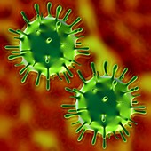 H1n1 flu virus,artwork