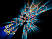 Self-splicing RNA intron,molecular model