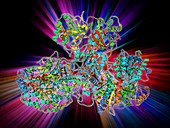 Respiratory complex I