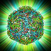 Bacterial nanocompartment