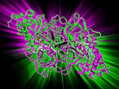 Rubisco enzyme molecule
