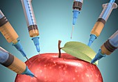 Red apple with syringes,artwork