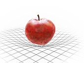 Apple on grid pattern,artwork