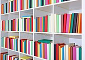 Colourful books on a bookcase