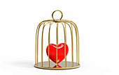 Red heart inside a bird cage