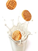 Biscuits splashing into milk,artwork