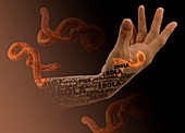 Ebola epidemic,conceptual image