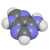 Adenine purine nucleobase molecule