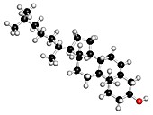 Cholesterol molecule