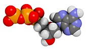 Deoxyadenosine triphosphate molecule