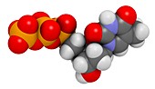 Thymidine triphosphate molecule