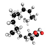 Docosahexaenoic acid