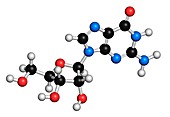 Guanosine purine nucleoside molecule