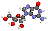 Guanosine purine nucleoside molecule