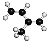 Isoprene rubber molecule