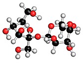 Sucrose sugar molecule
