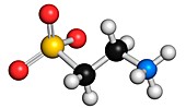 Taurine molecule