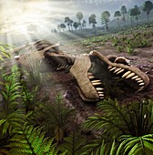 Early mammals hiding in T-Rex carcass