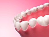 Human teeth,illustration,