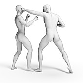 Two men fighting,illustration