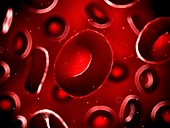 Human red blood cells,illustration