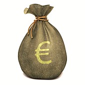 Bag with Euro sign,illustration