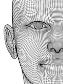 Wireframe head