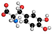 Droxidopa hypotension drug molecule