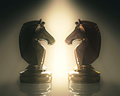 Knight chess pieces,illustration