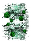 Data virus,illustration