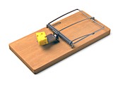 Mousetrap with cheese,illustration