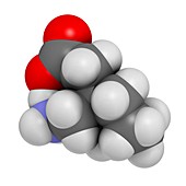 Gapapentin drug molecule