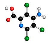 Picloram herbicide molecule
