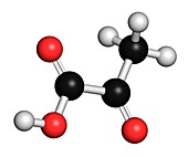 Pyruvic acid pyruvate molecule
