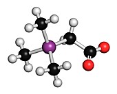 Arsenobetaine organoarsenic molecule