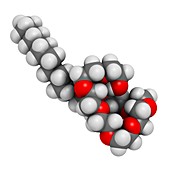 Polidocanol sclerosant drug molecule